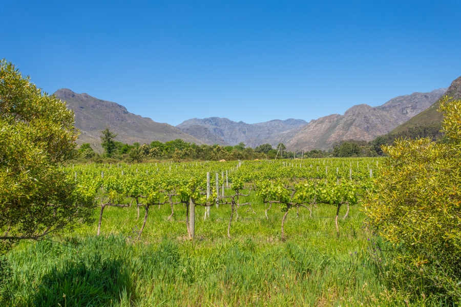 0 Bedroom Property for Sale in Franschhoek Rural Western Cape
